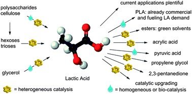 5.- Bio based Chemical Blocks