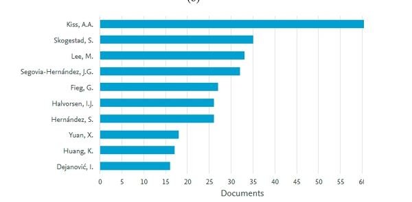 DIVIDING WALL COLUMN