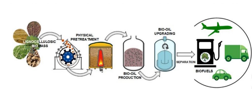 4. Biofuels