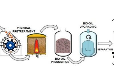 4. Biofuels